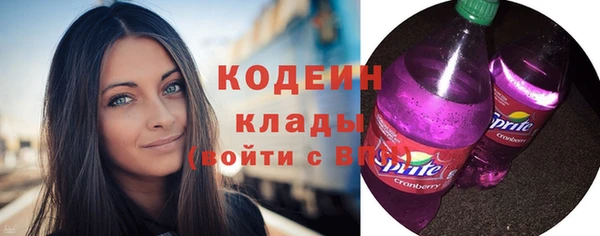 молекула духа Снежногорск