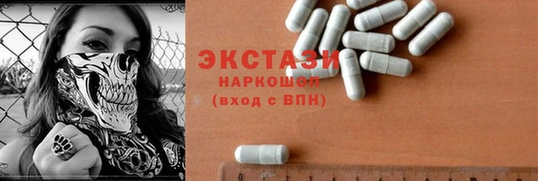 молекула духа Снежногорск