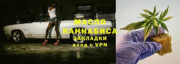 молекула духа Снежногорск