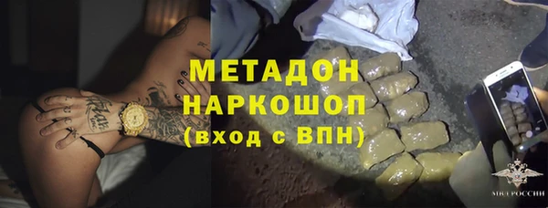 молекула духа Снежногорск