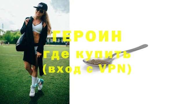 молекула духа Снежногорск