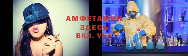 молекула духа Снежногорск