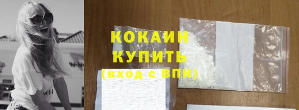 молекула духа Снежногорск