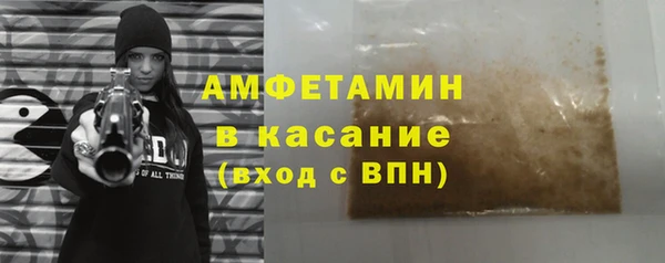 молекула духа Снежногорск