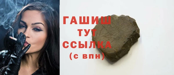 молекула духа Снежногорск