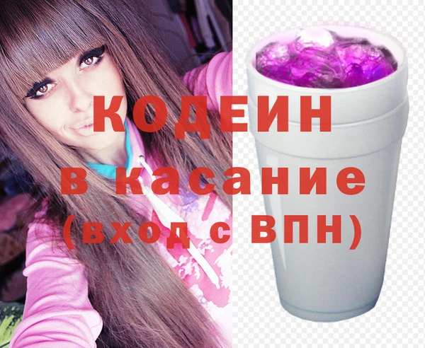 молекула духа Снежногорск
