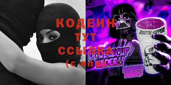 соль ск Снежинск