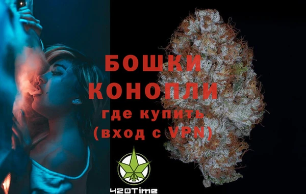 соль ск Снежинск