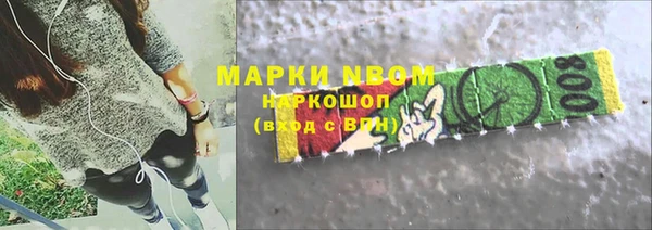 соль ск Снежинск