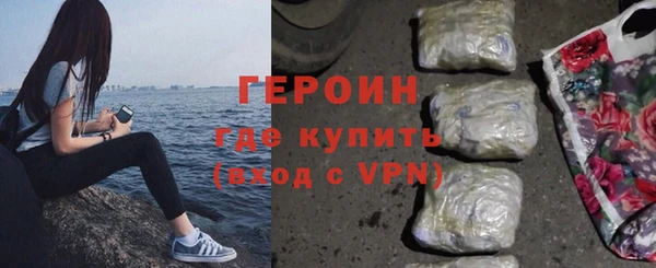 молекула духа Снежногорск