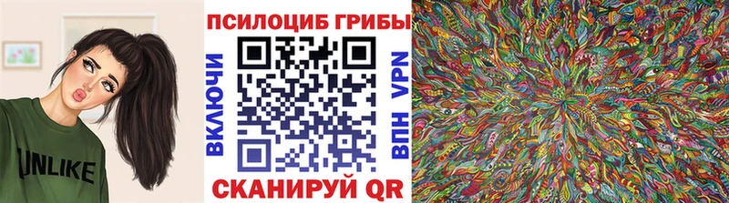 Псилоцибиновые грибы прущие грибы  сколько стоит  МЕГА зеркало  Харабали 